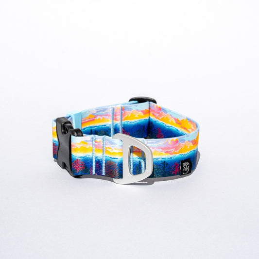 Colorful dog collar with a white background