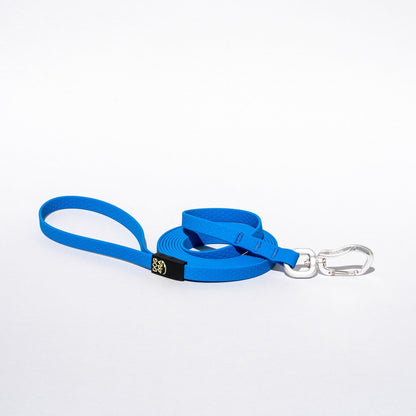 Blue dog leash with a clip on a white background