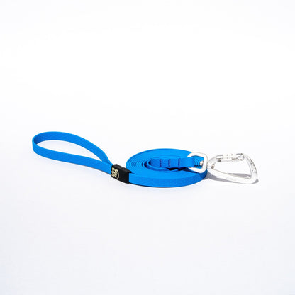 Blue dog leash with a silver clip on a white background