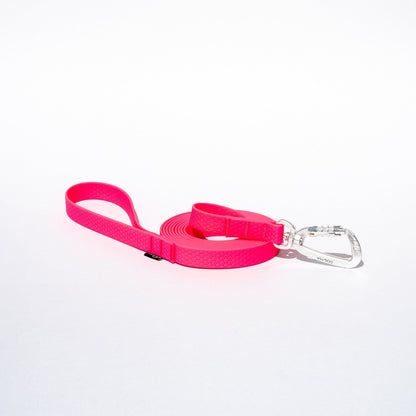 Pink dog leash with a clip on a white background