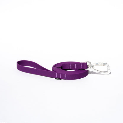 Purple dog leash with a silver clip on a white background