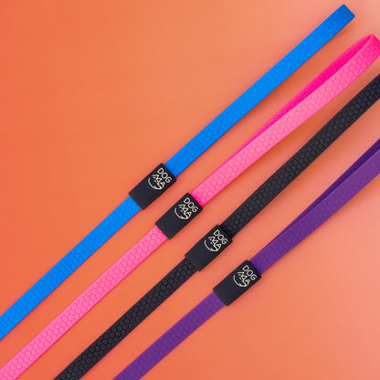Four colorful dog leashes (blue, pink, black, purple) with a brand logo on an orange background.
