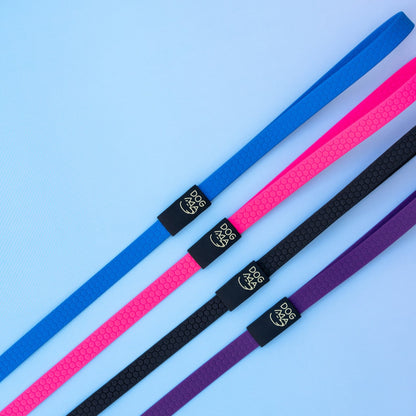 Three colorful dog leashes (blue, pink, purple) on a light blue background