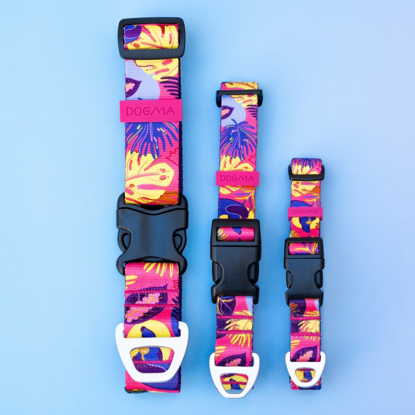 Three colorful dog collars with black buckles on a light blue background