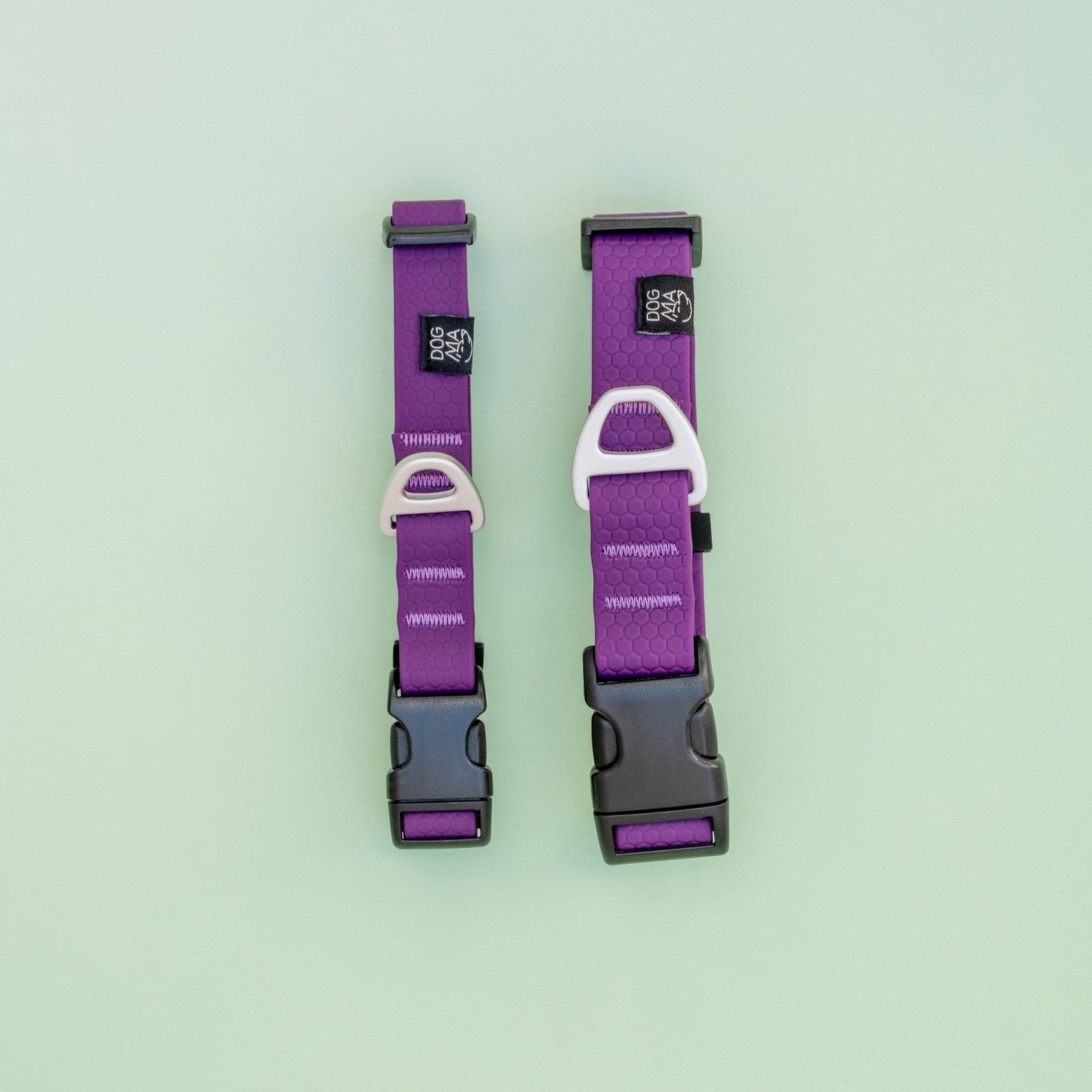Two purple dog collars with black buckles on a light green background