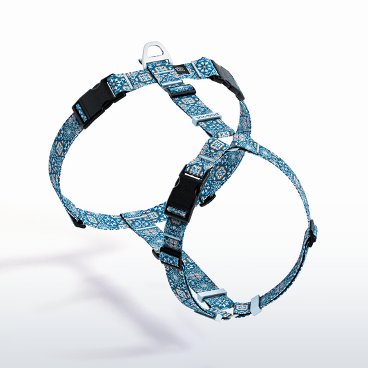 Y-Harness Tiles - Anatomical Dog Harness