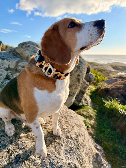 Dog Collar Classic Cheetah
