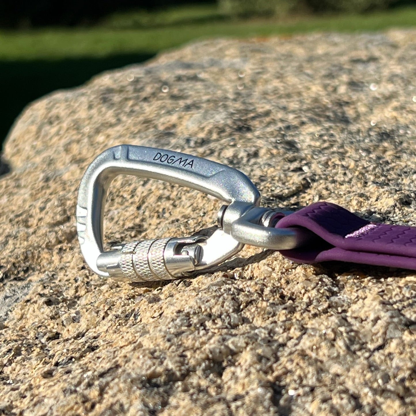 Silver carabiner with a purple strap on a rock surface