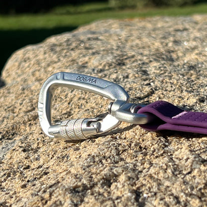 Silver carabiner with a purple strap on a rock surface