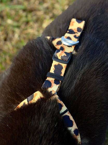 Y-Harness Classic Cheetah - Anatomical Dog Harness