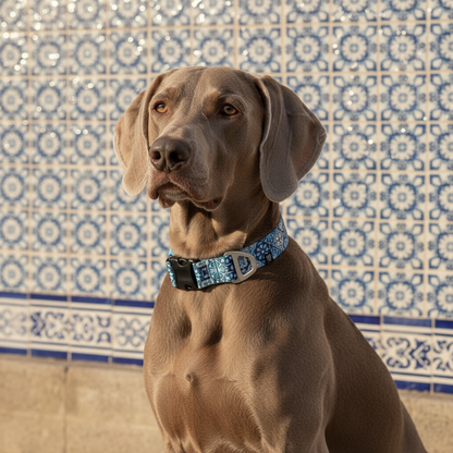 Dog Collar Tiles