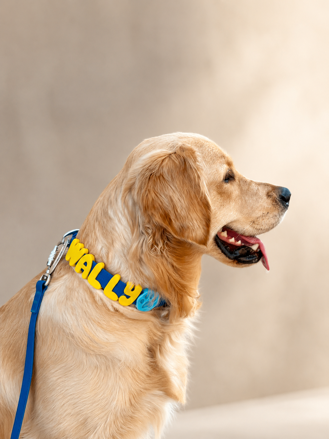 Personalized Hexa collar with silicone letters