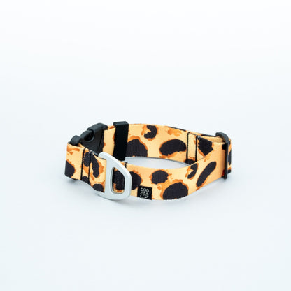 Leopard print dog collar on a white background