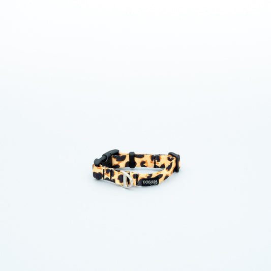Leopard print dog collar on a white background