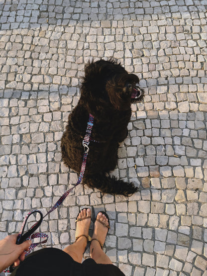 Dog Leash - Crazy Leopard