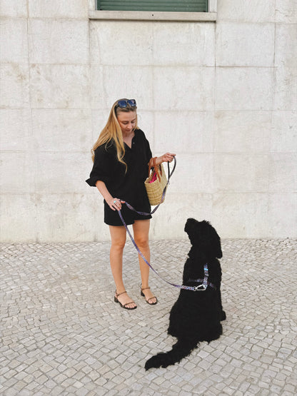 Dog Leash - Crazy Leopard