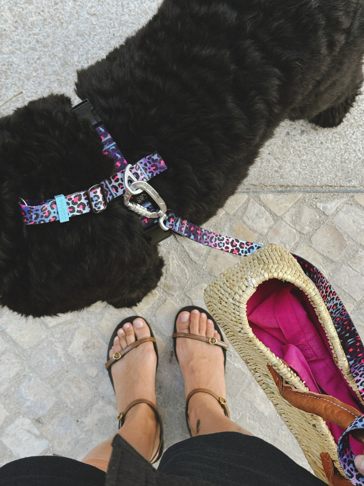 Y-Harness Crazy Leopard - Anatomical Dog Harness