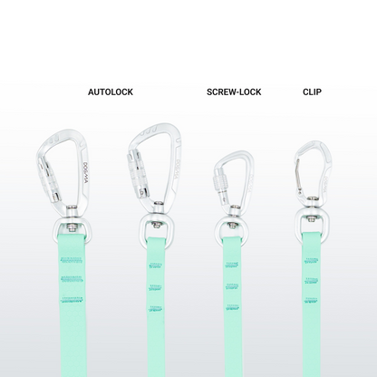 Laisse mains libres Hexa - Caribian Green